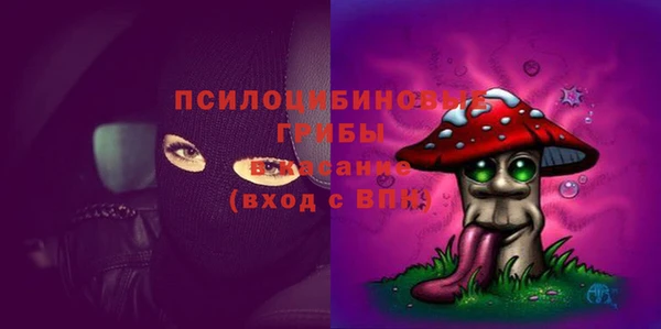 apvp Нея