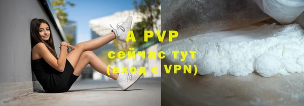 хмурый Нефтекумск