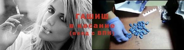 дмт Болотное