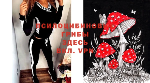 2c-b Нефтегорск