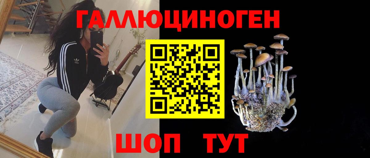 Канаш  Псилоцибиновые грибы MAGIC MUSHROOMS  Вход с VPN 