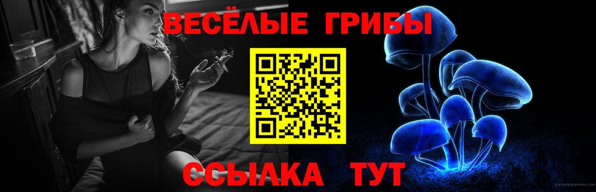 Псилоцибиновые грибы Magic Shrooms Канаш